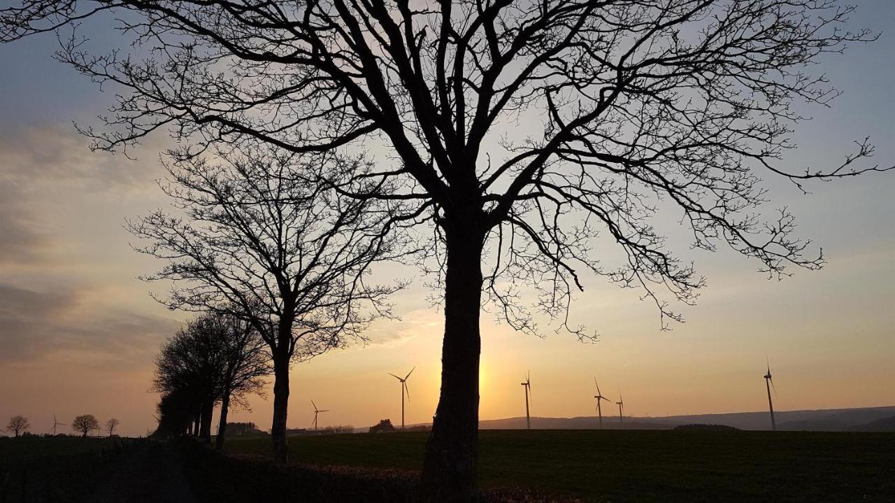 Ferienwohnung An Der Kleinen Schreinerei Hallschlag Luaran gambar